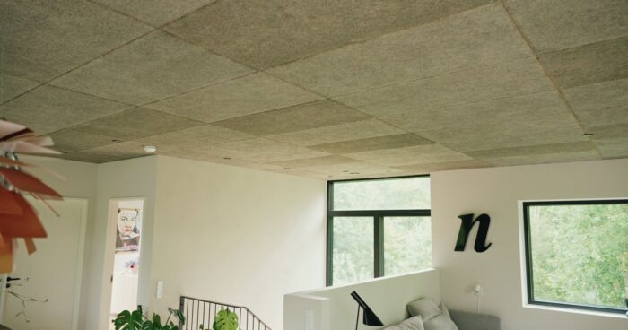 Troldtekt loft Dennis Lindequist