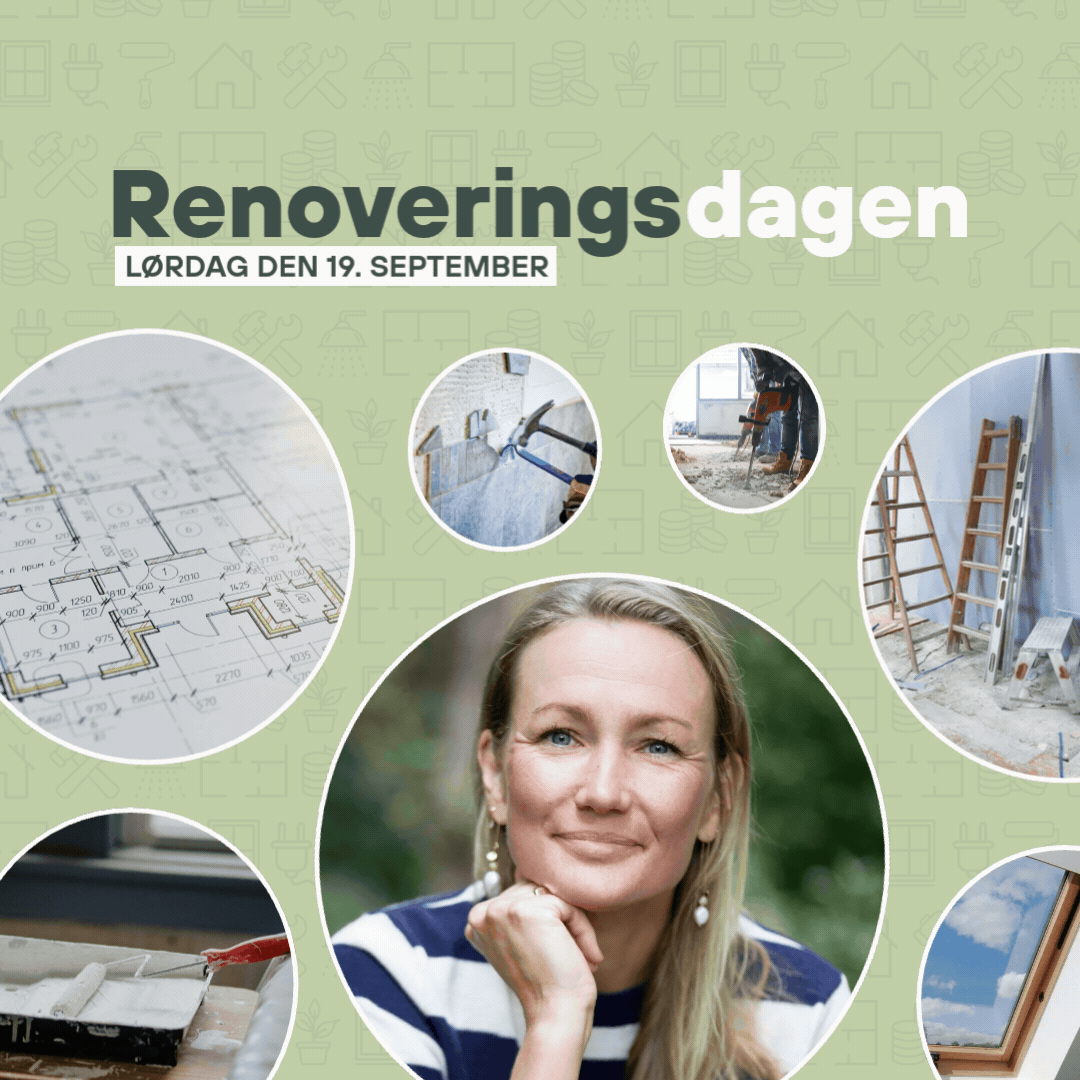 Renoveringsdagen 1.1